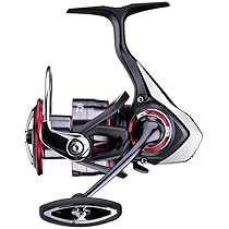 DAIWA - ☆明日まで値下げ☆いい仕事してます。DAIWA FuegoLT 6000D-H Amazon | 20 Fuego LT 6000-H | ダイワ(DAIWA) | スピニングリール
